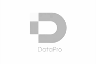 Лого Datapro
